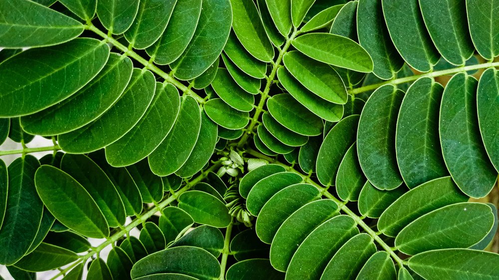 Photograph by Noora HT