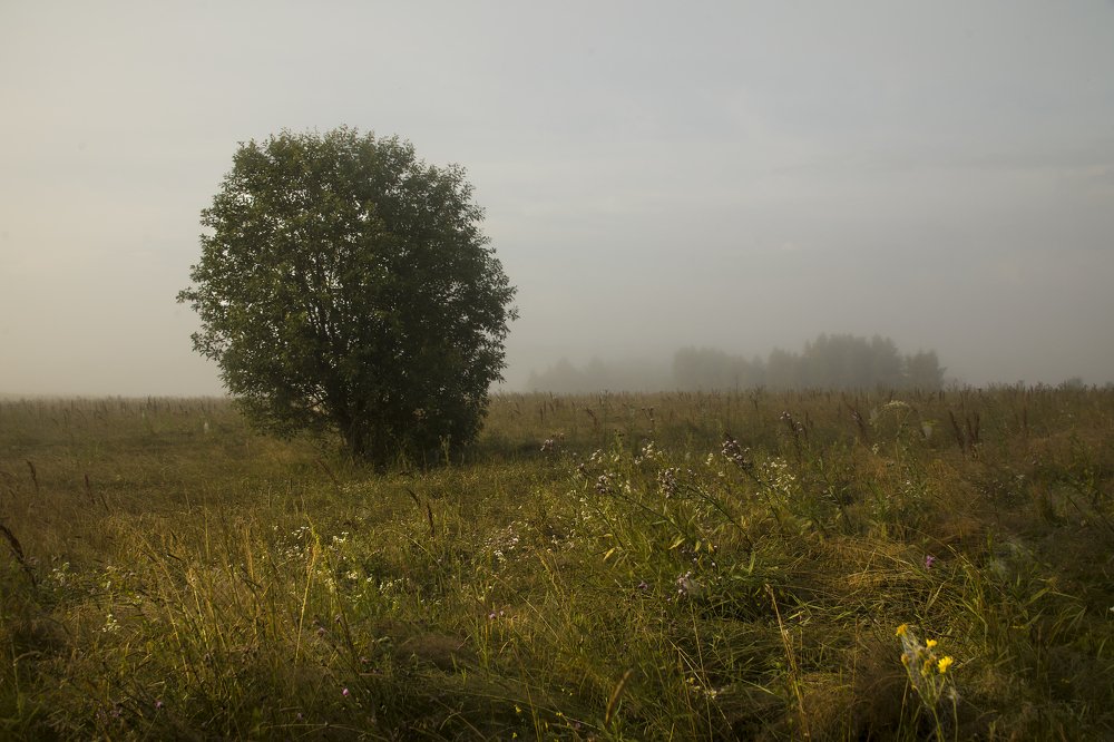 Photograph by Михаил Строев