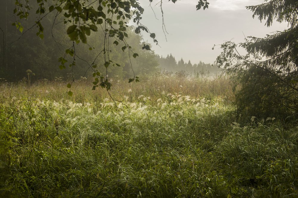 Photograph by Михаил Строев