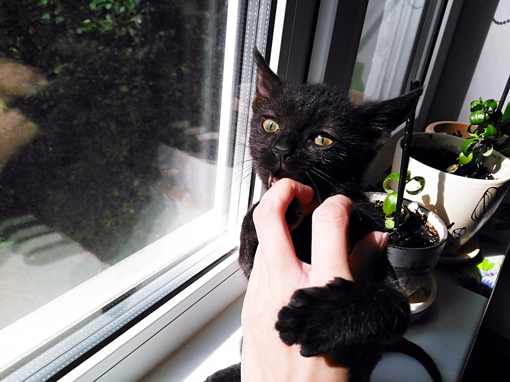 Photograph by Светлана Боброва