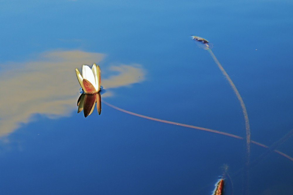 Photograph by Родосская Нонна