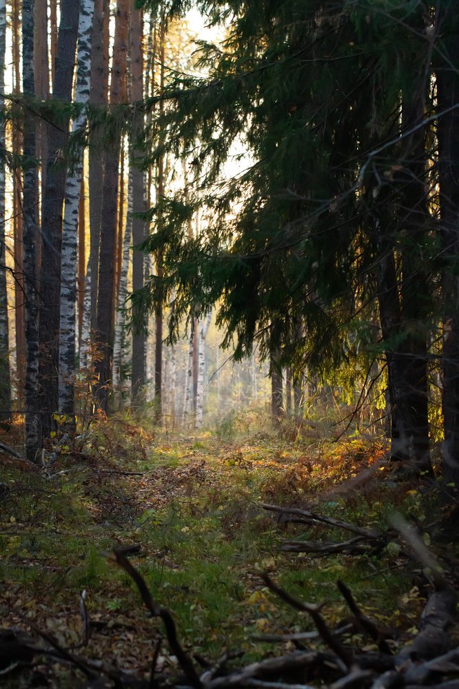 Photograph by Таня Короткова