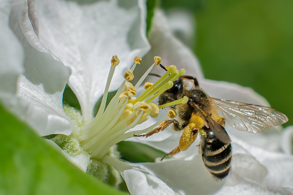 Photograph by Алексей Козлов