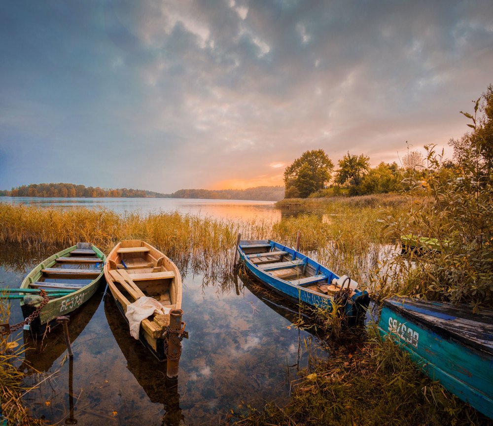 Photograph by Алексей Головнёв