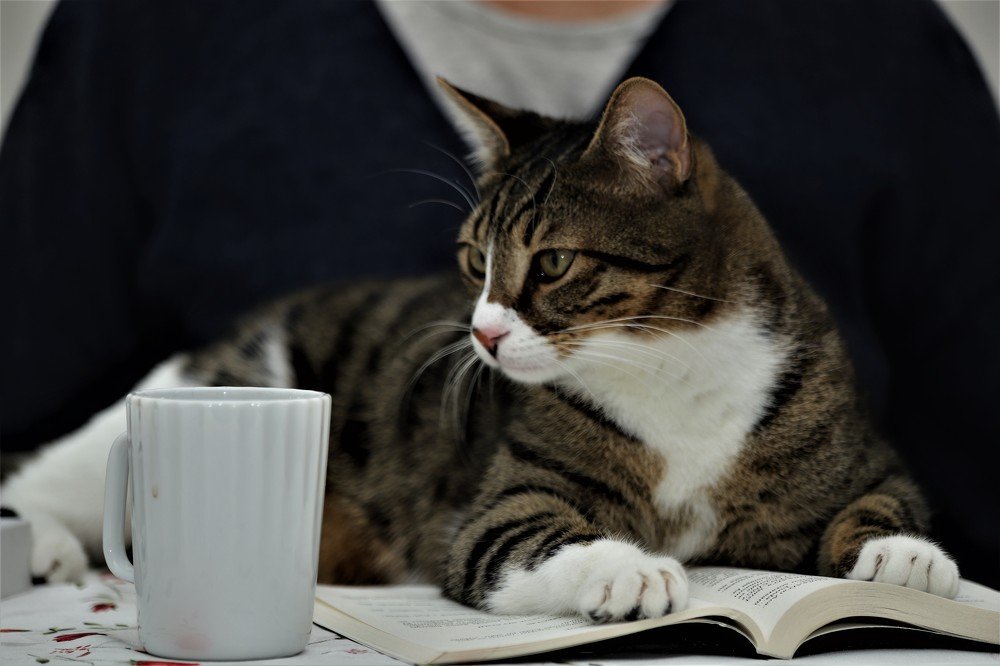 Photograph by GUNSEL SECKİNER