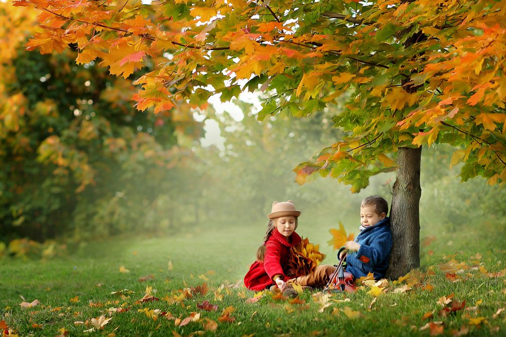 Photograph by Елена Шевчук