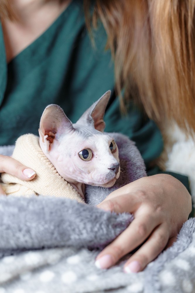 Photograph by Даурен Умутбеков