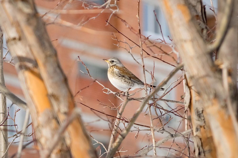 Photograph by Сергей Пашнов