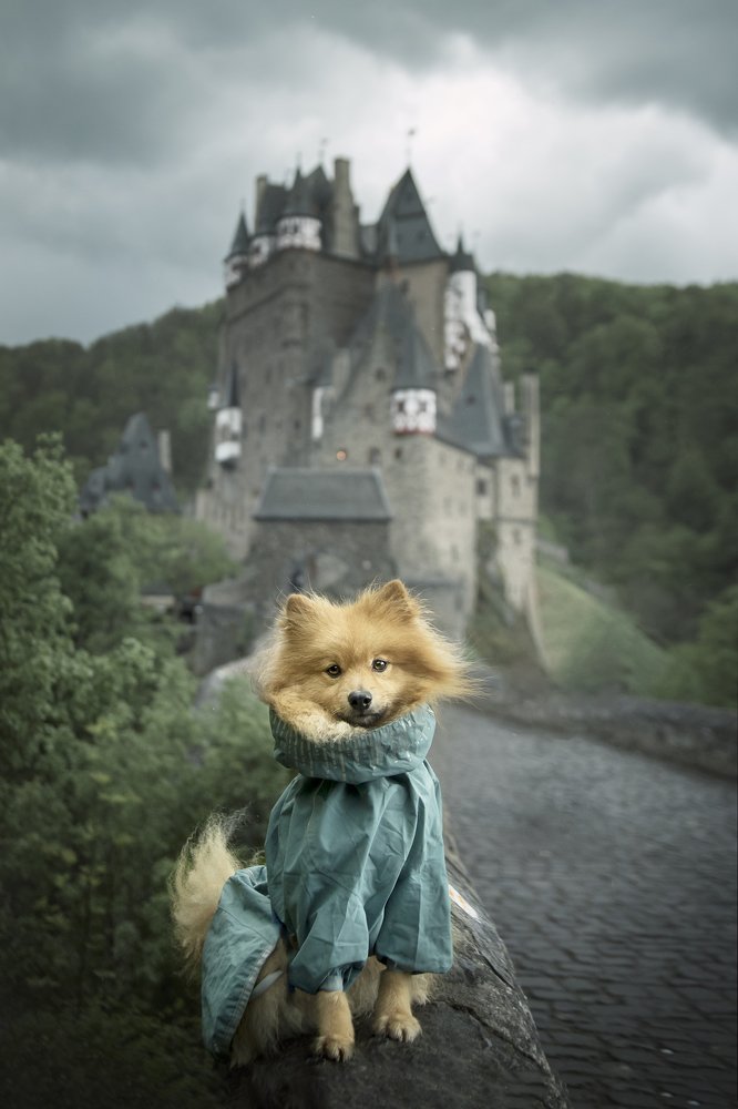 Photograph by Deise de Oliveira