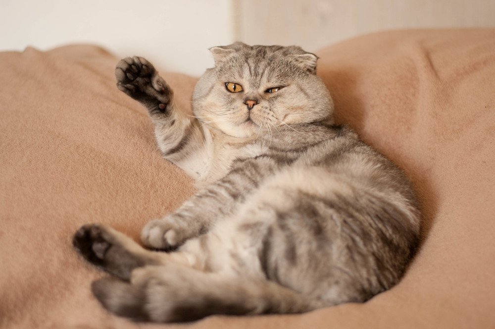 Photograph by Татьяна Зубехина