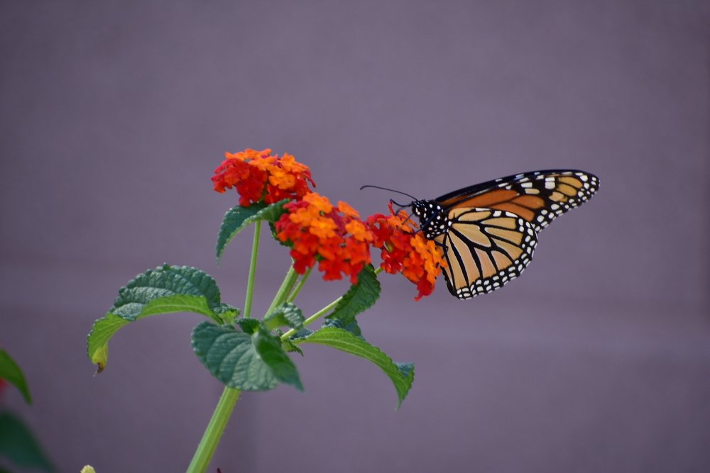 Photograph by Gulnaz Sabirova