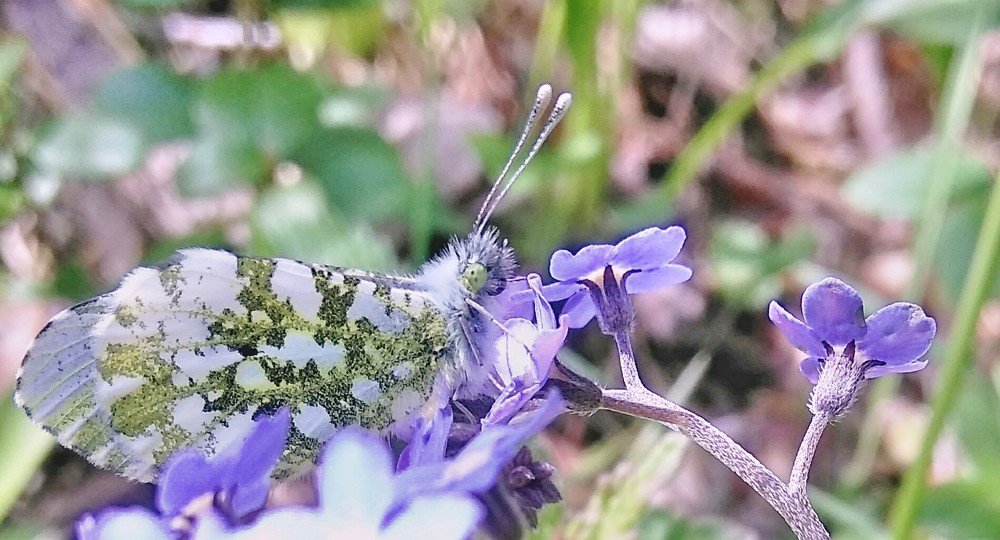 Photograph by Ирина Корнева