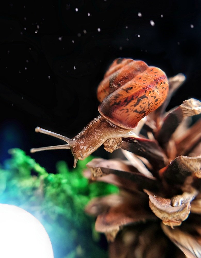 Photograph by Светлана Смирнова