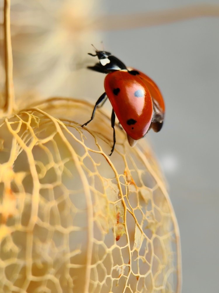 Photograph by Светлана Смирнова