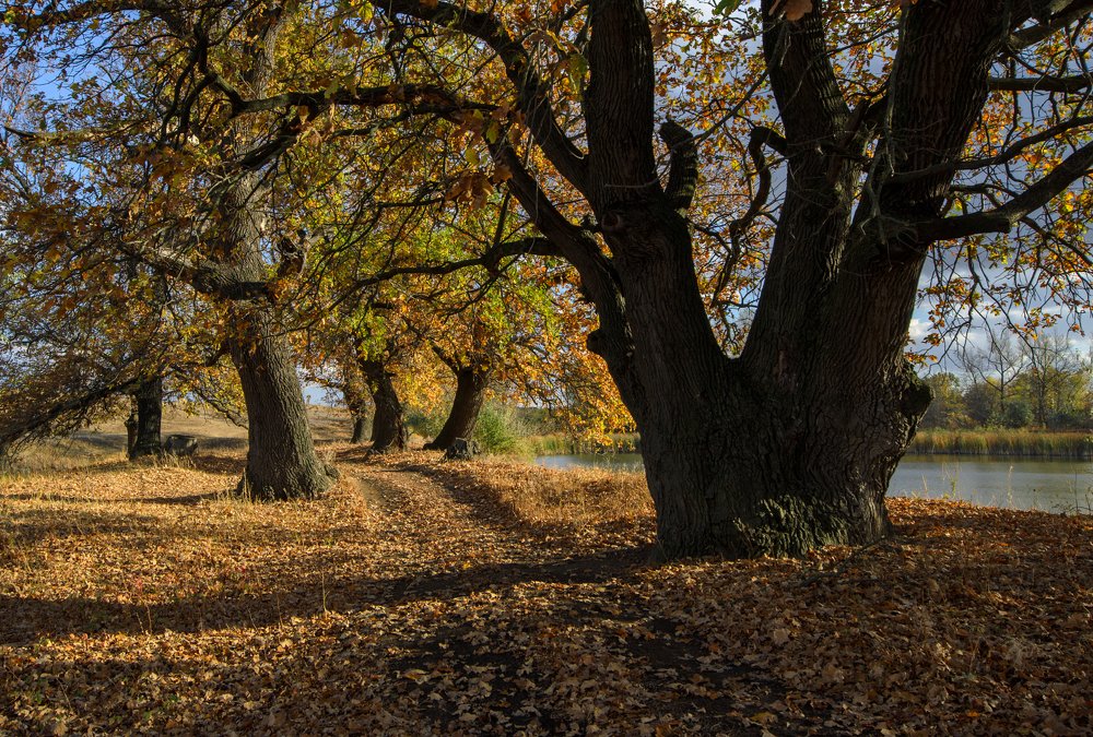 Photograph by Александр Белянский