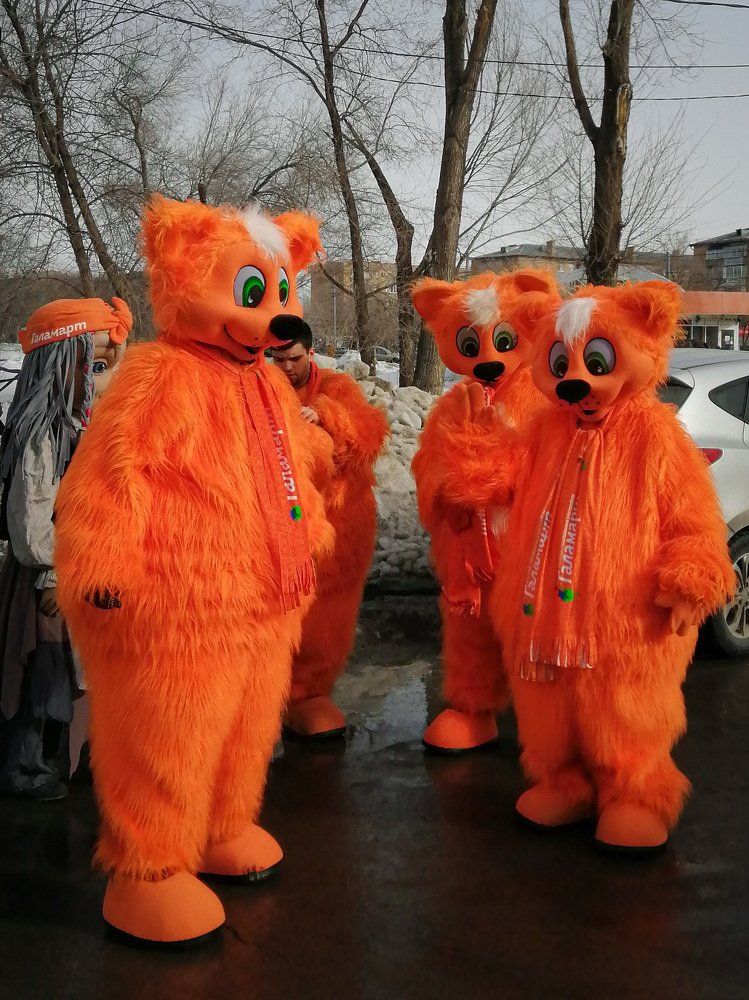 ГалаМартовские котики