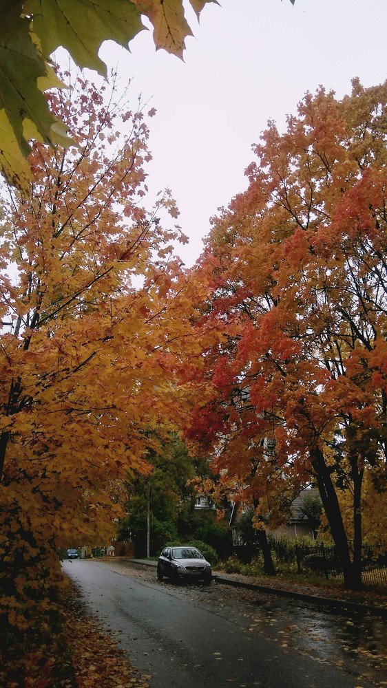 Photograph by Ирина Корнева