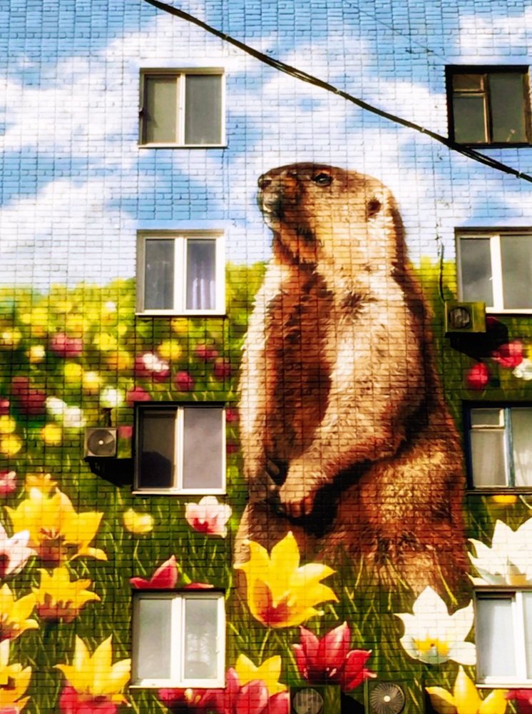 Photograph by Наталья Перерва