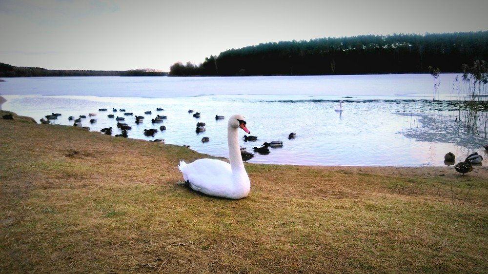 Photograph by Ирина Корнева