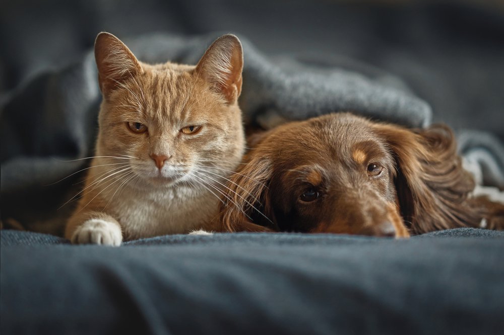 Photograph by Дарья Базарнова