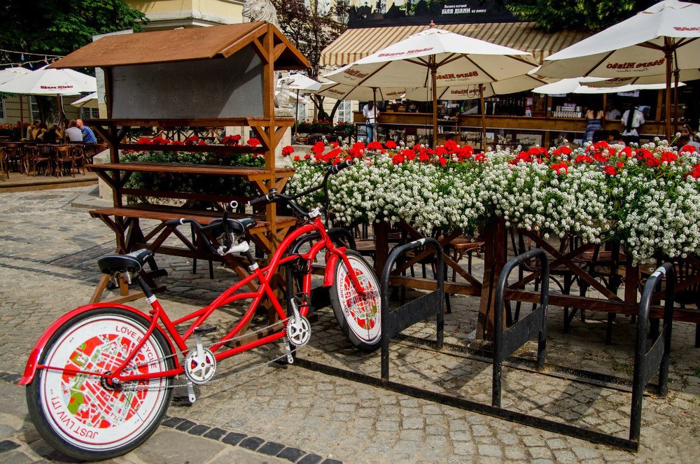 Фотография автора Александр Сенчуров