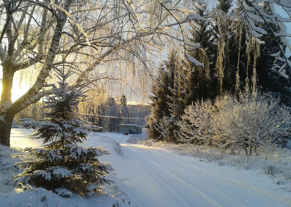 Photograph by Ирина Архипова