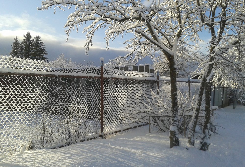 Photograph by Ирина Архипова