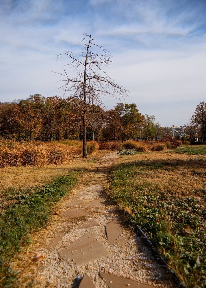 Фотография автора Яна Чхан