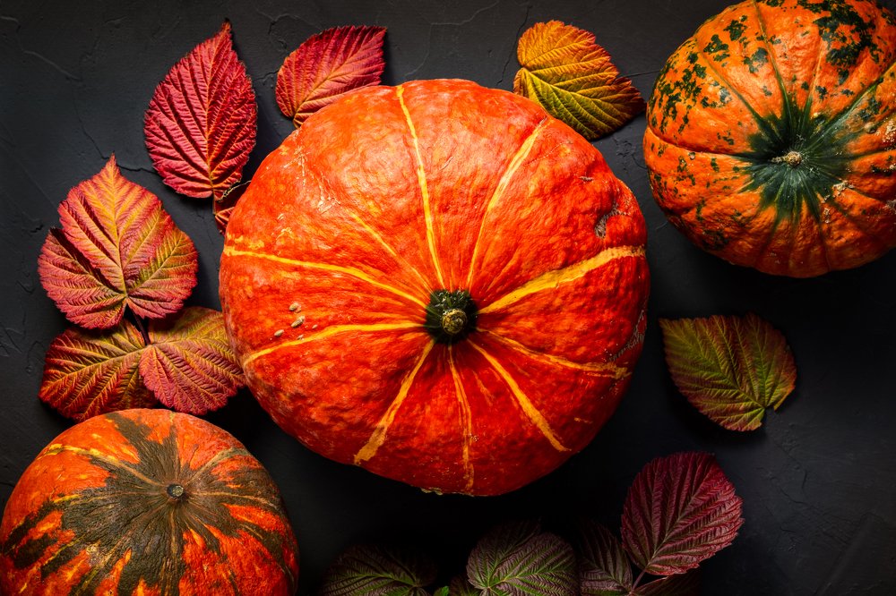 Тыквенное настроение