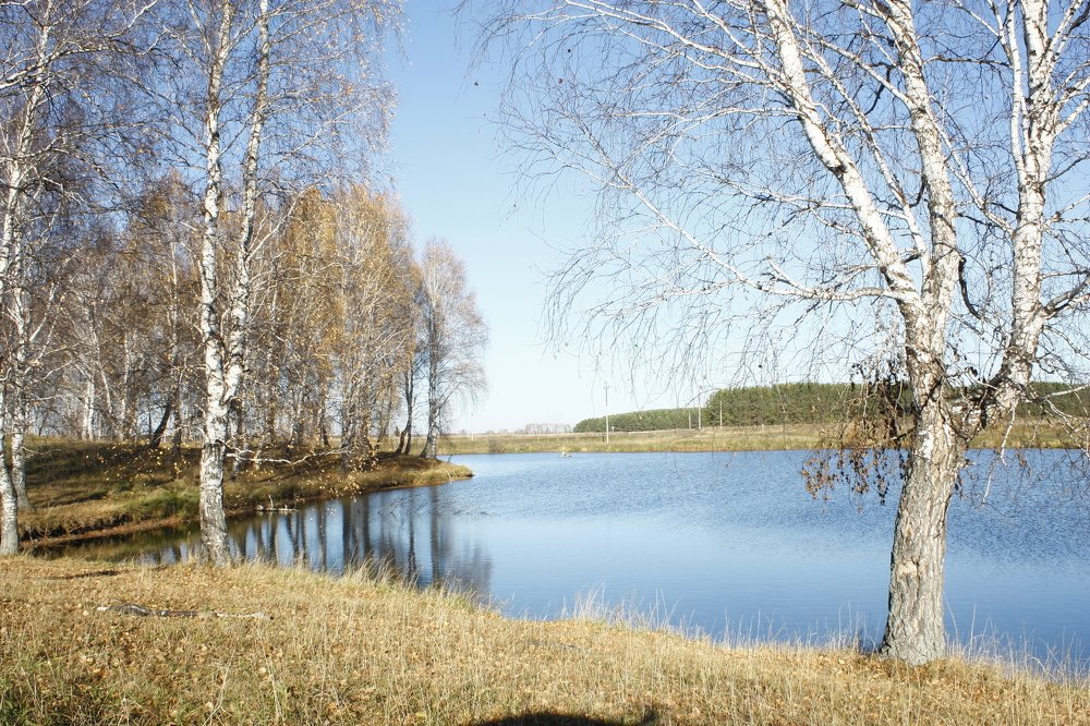 Последние дни осени.