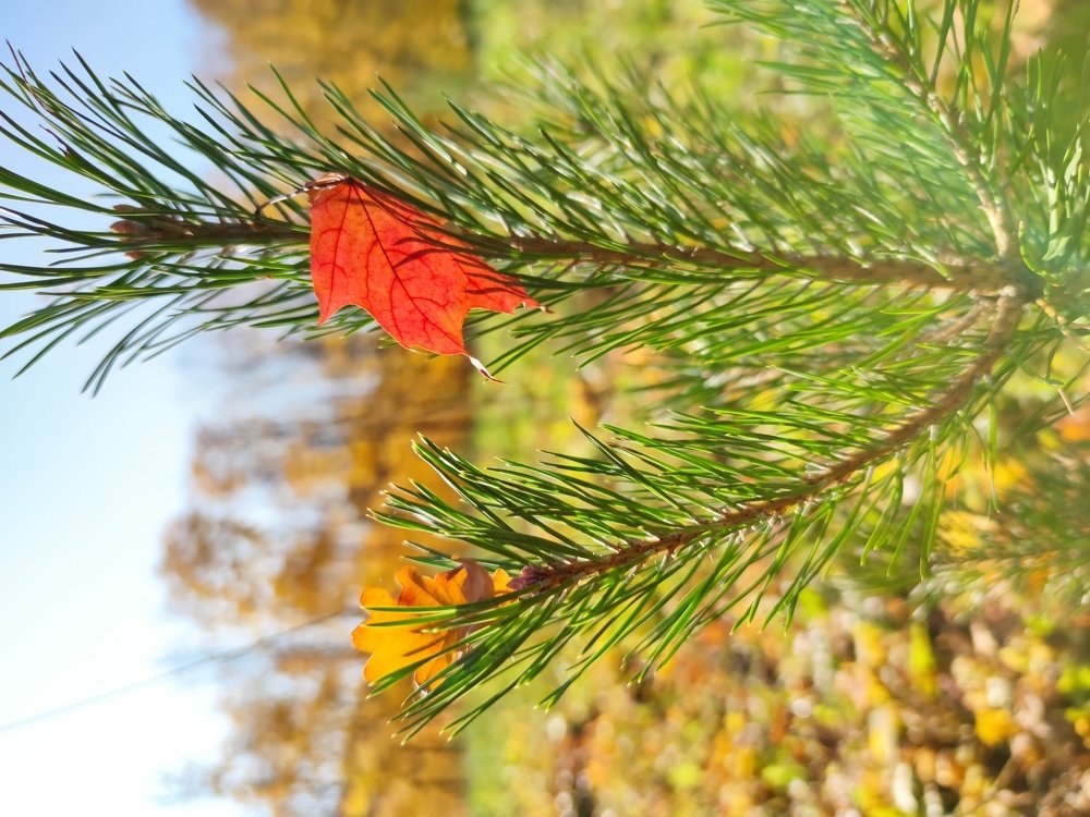 Photograph by Марат Вахитов