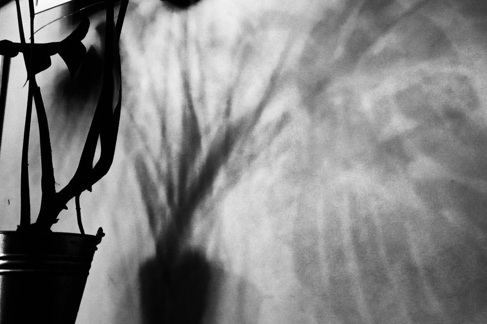 Photograph by Дарья Тимофеева