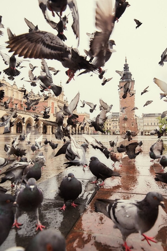 Фотография автора Надежна Пожитонова