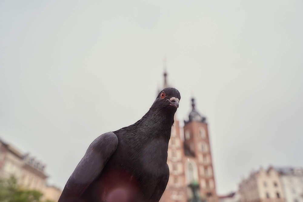 Фотография автора Надежна Пожитонова