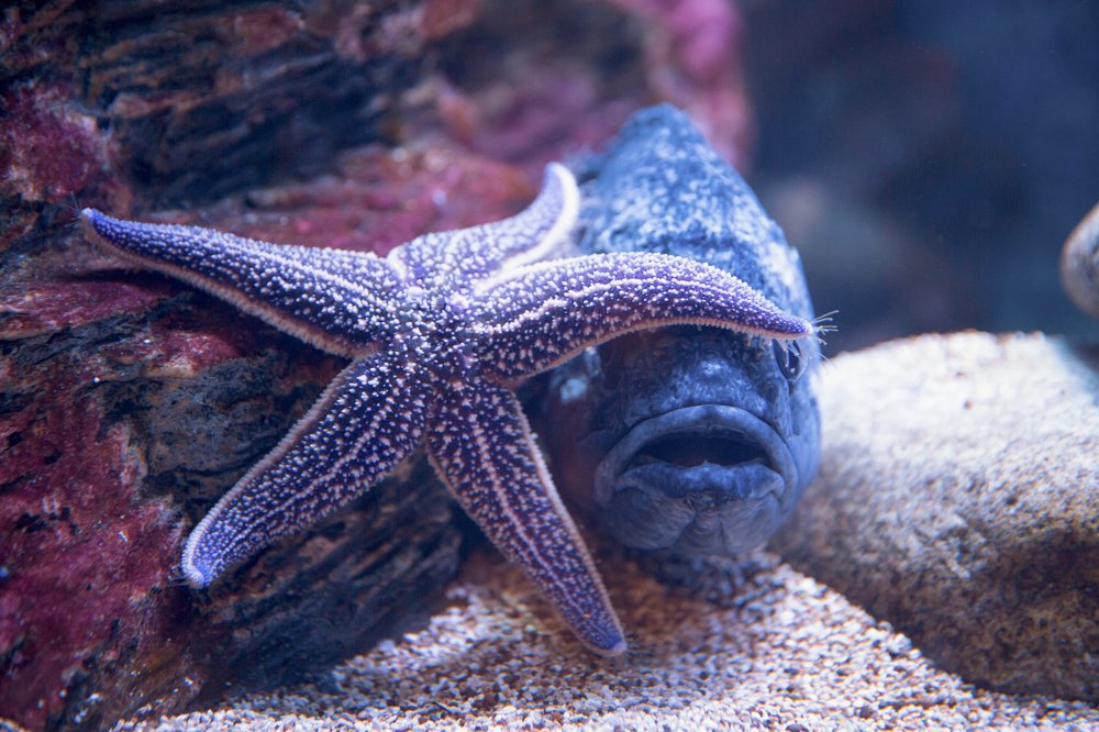 Photograph by Надежда Шелест