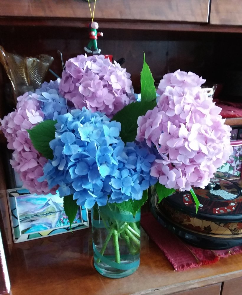 Photograph by Ольга Ковзик