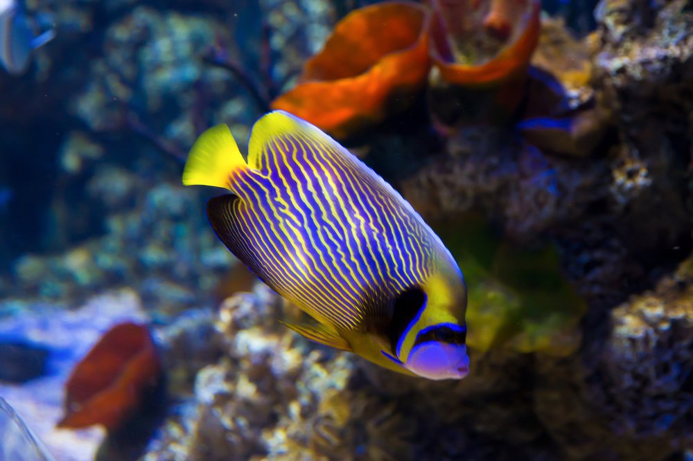 Photograph by Надежда Шелест