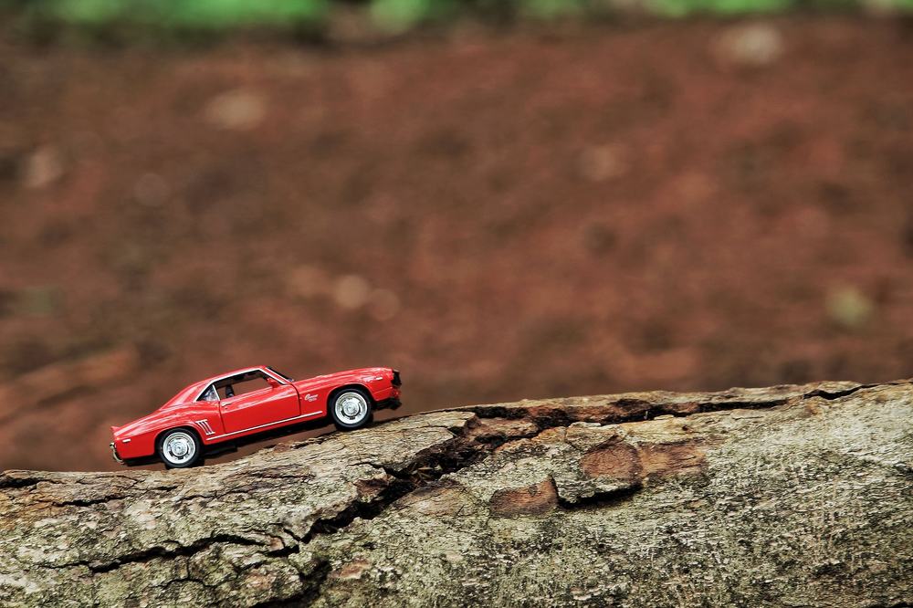 Photograph by Jaspreet Singh