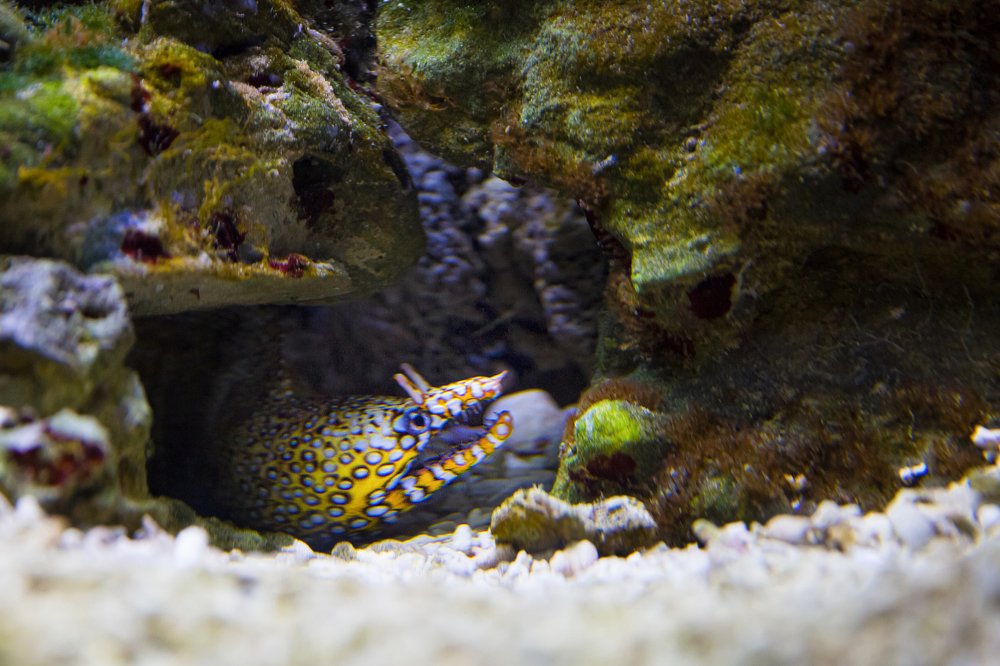 Photograph by Надежда Шелест