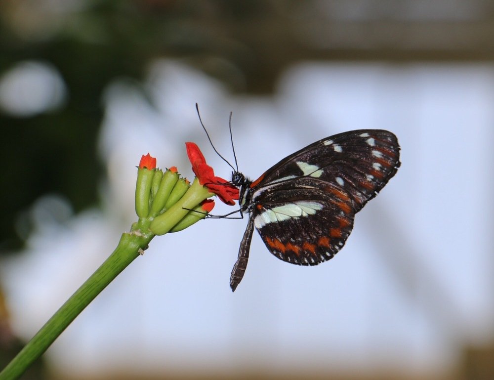 Photograph by Маргарита Венсил.