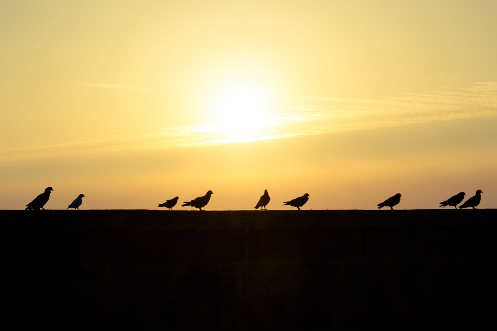 Photograph by Евгения Журавлёва