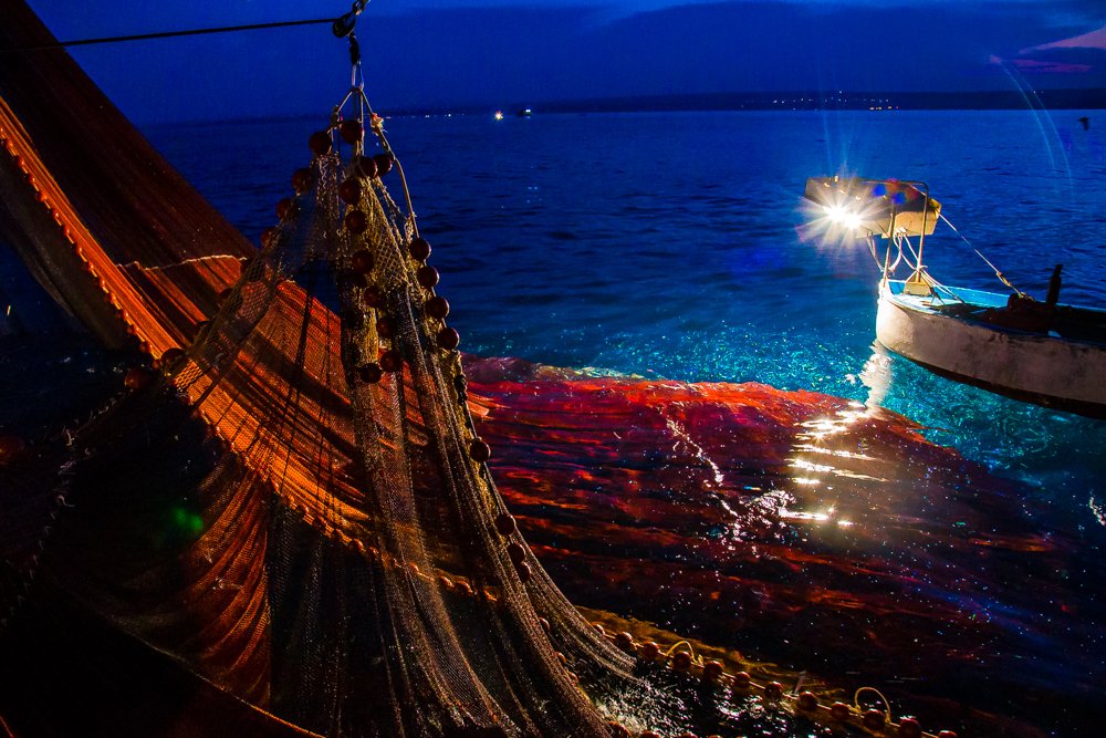 Photograph by Tamara Smekhova