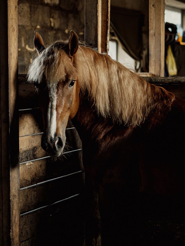 Photograph by Надежда Рачева