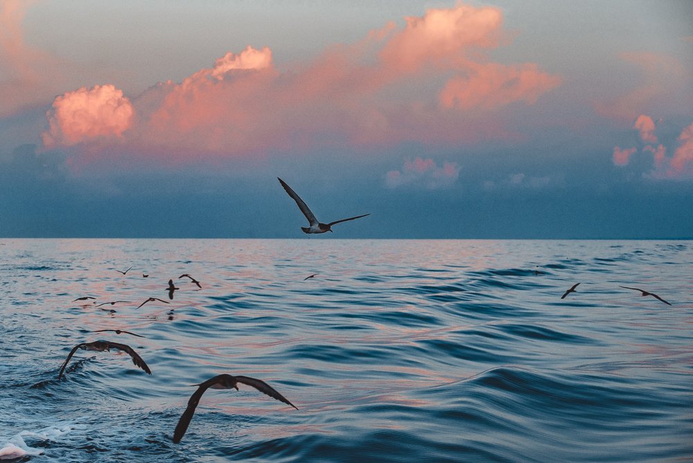 Photograph by Tamara Smekhova