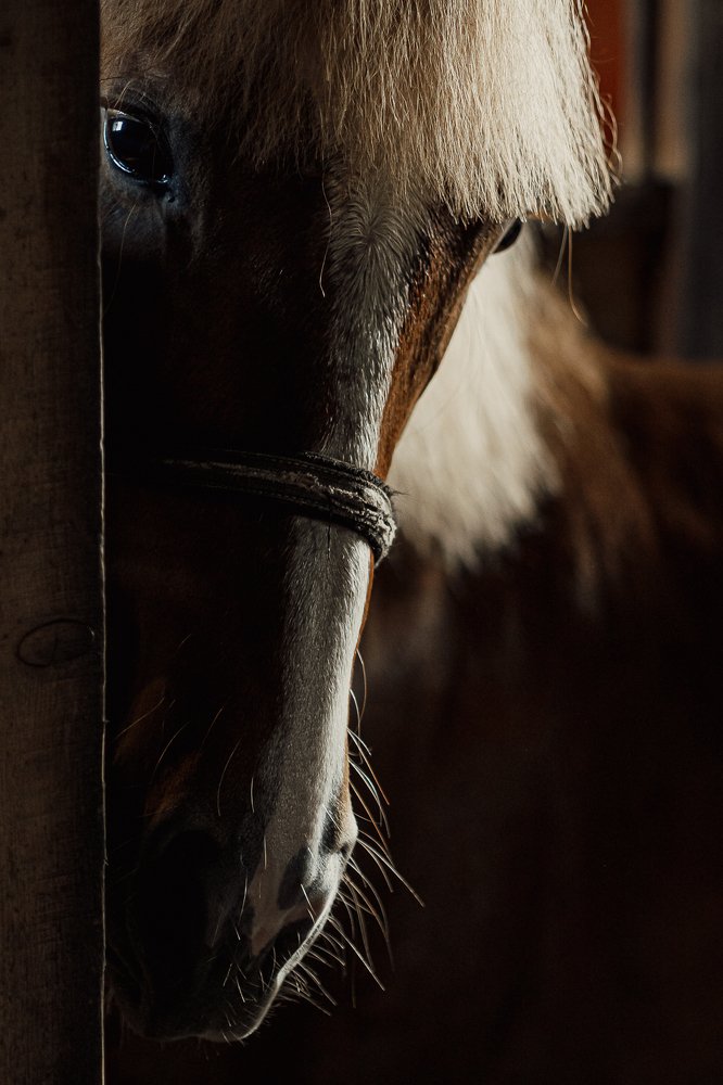 Photograph by Надежда Рачева