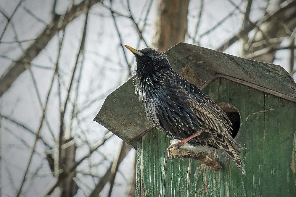 Photograph by Екатерина Рябинина