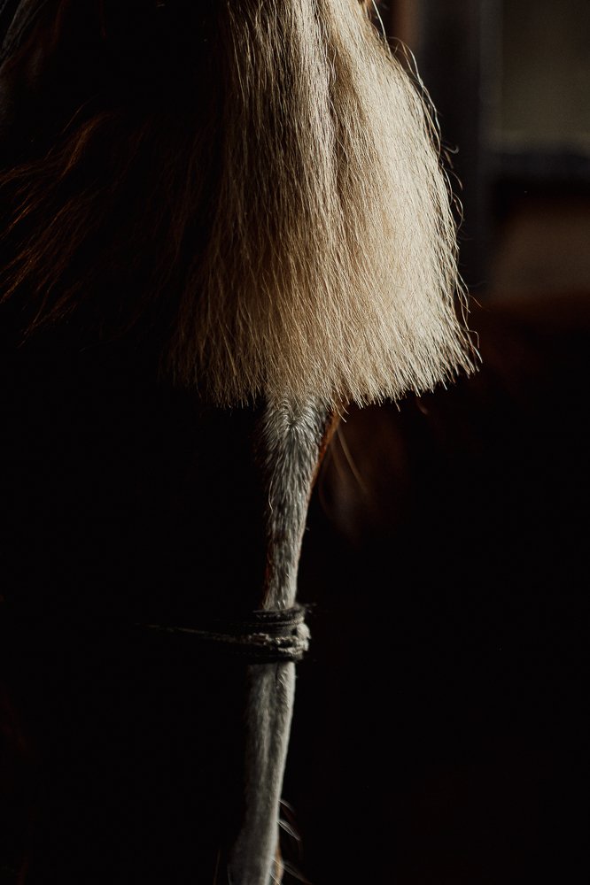 Photograph by Надежда Рачева