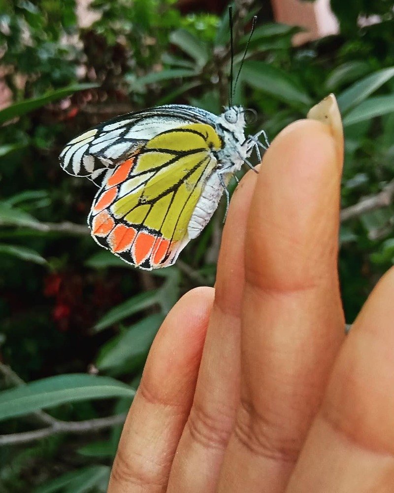 Photograph by Sayani Mondal