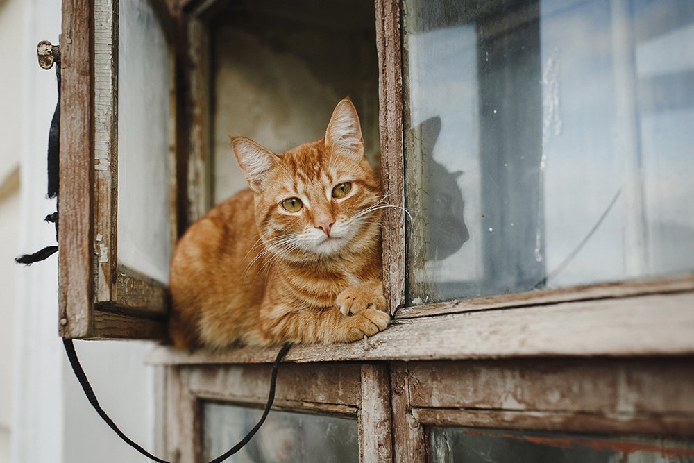 Photograph by Тема Цезарь