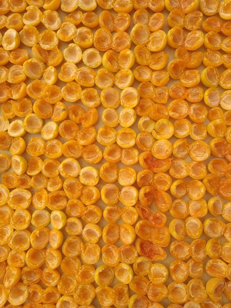 Фотография автора Романов Никита